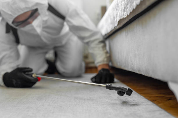 Professional Cockroach Control technician working in Clarence, IA