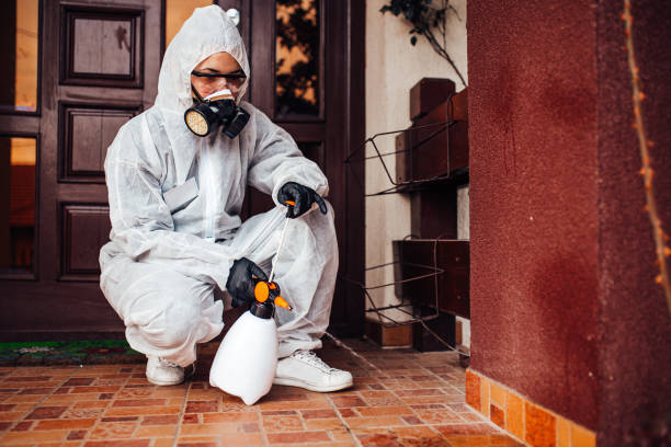 Reliable Cockroach Control contractor in Clarence, IA by Nex Pest Control